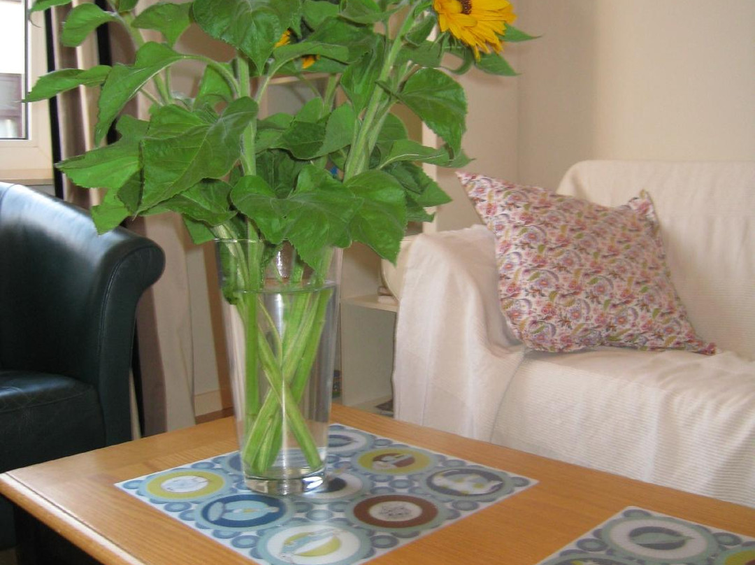 Little Amsterdam主图