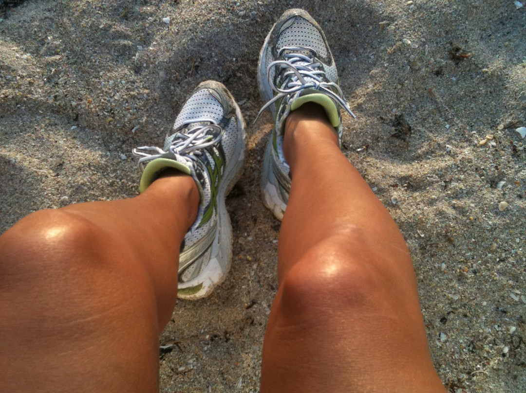 劳德岱尔堡海滩-劳德代尔堡必去景点