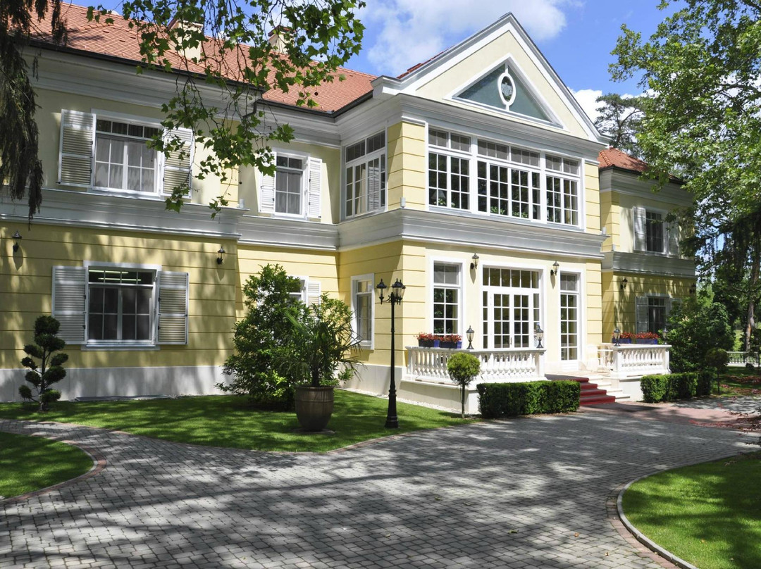 Chateau Visz主图