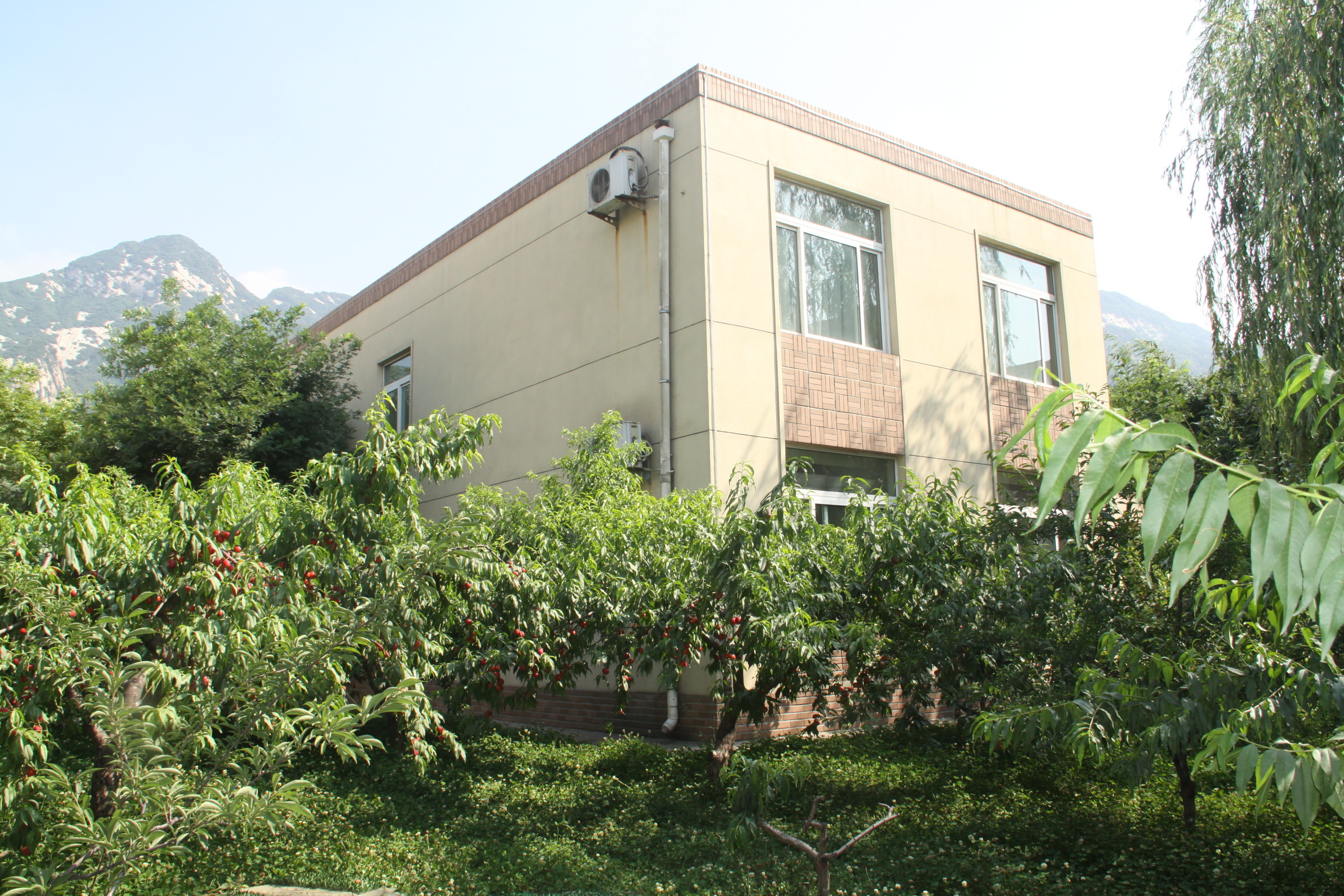 华山莲花山庄-客卧