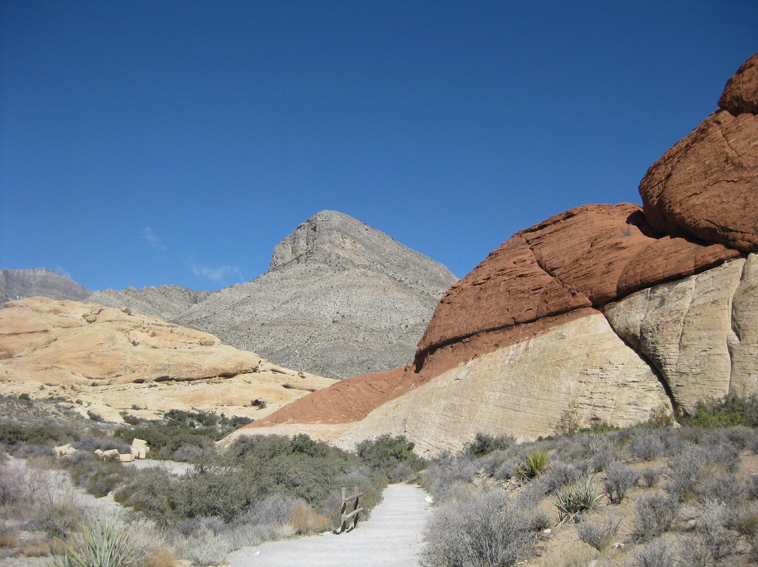 红岩峡谷国家野生生物保护区-拉斯维加斯必去景点