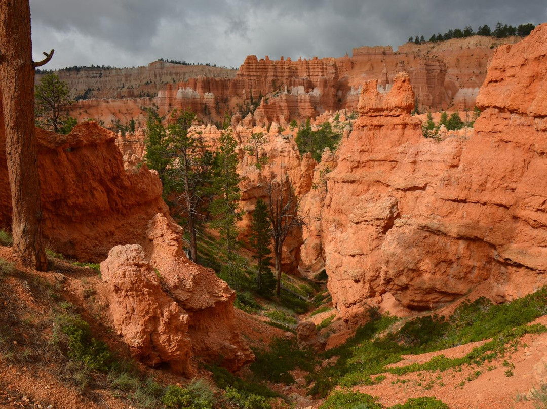 女王花园／纳瓦霍环圈-布莱斯峡谷国家公园必去景点