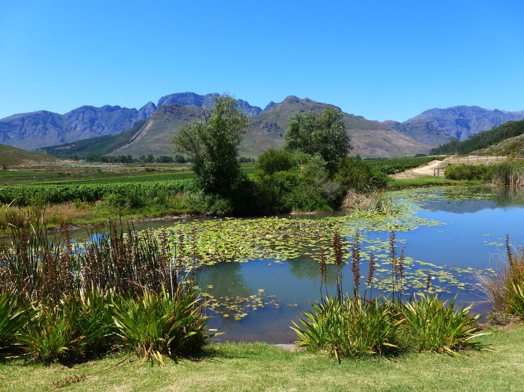 Glenwood Vineyards-法兰舒克必去景点