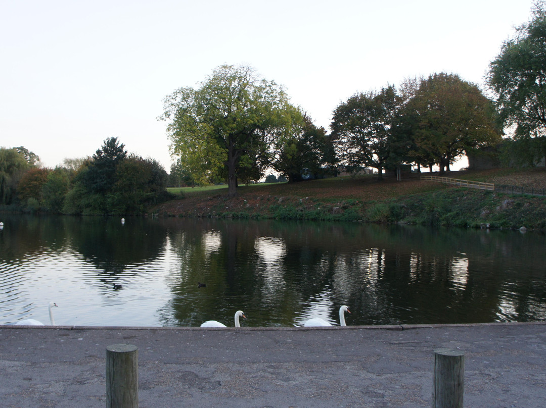Mote Park景点图片