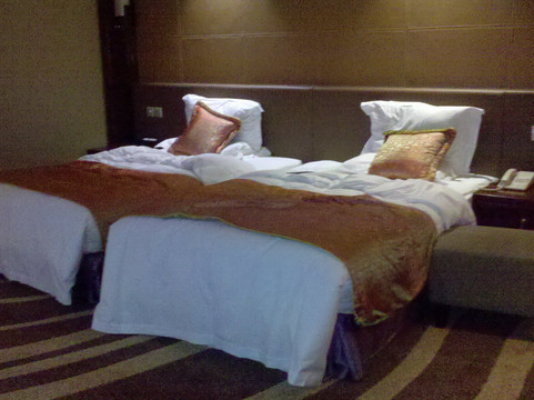 重庆世纪金源大饭店主图