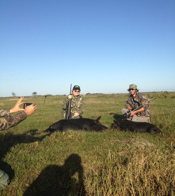 Everglades Adventures-克莱维斯顿必去景点