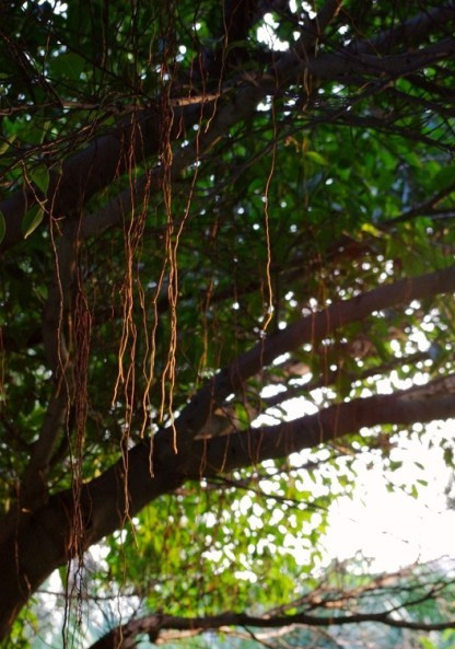 石湾公园-佛山市必去景点