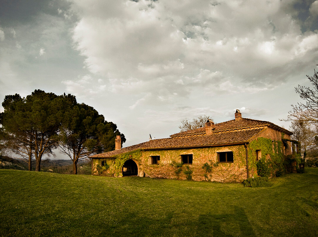 Fattoria Barbialla Nuova