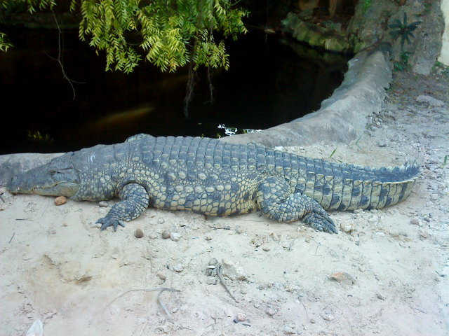 Nairobi Mamba Village-内罗毕必去景点