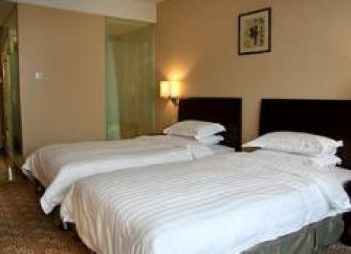 京泰龙国际大酒店-客卧