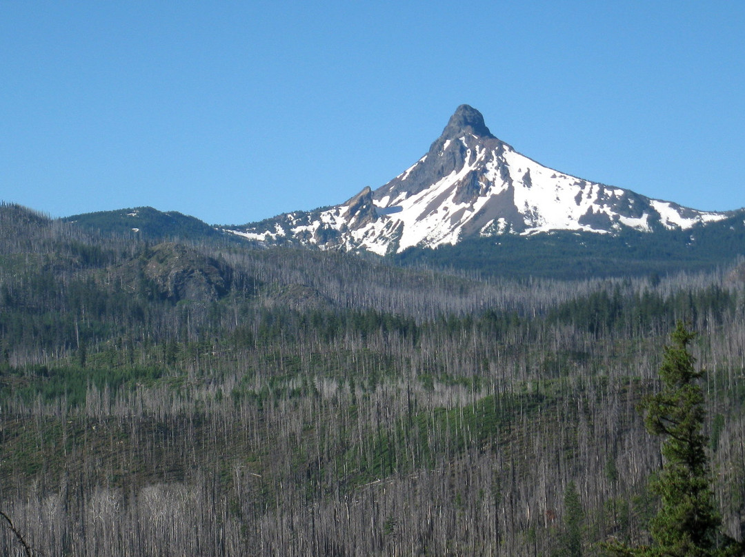 McKenzie Pass-Santiam Pass loop-Sisters必去景点