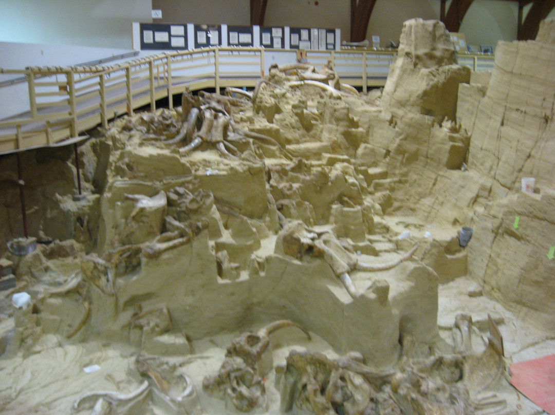 The Mammoth Site of Hot Springs-温泉城必去景点