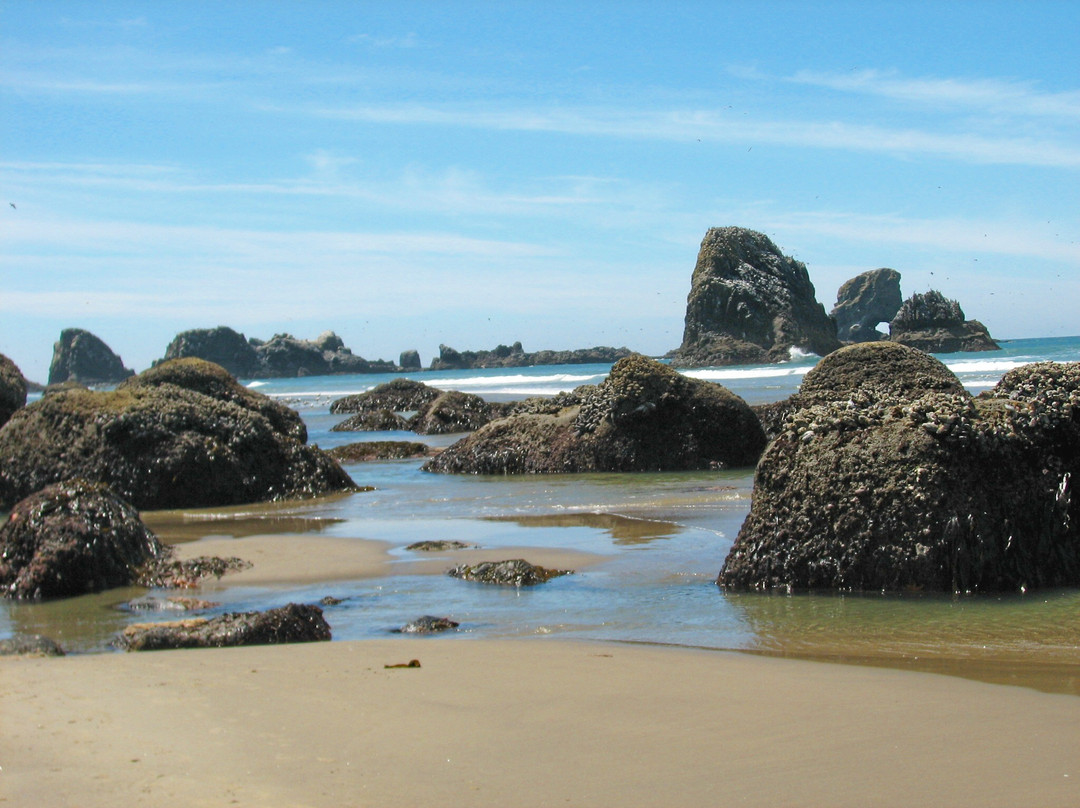 Ecola State Park-坎农比奇必去景点