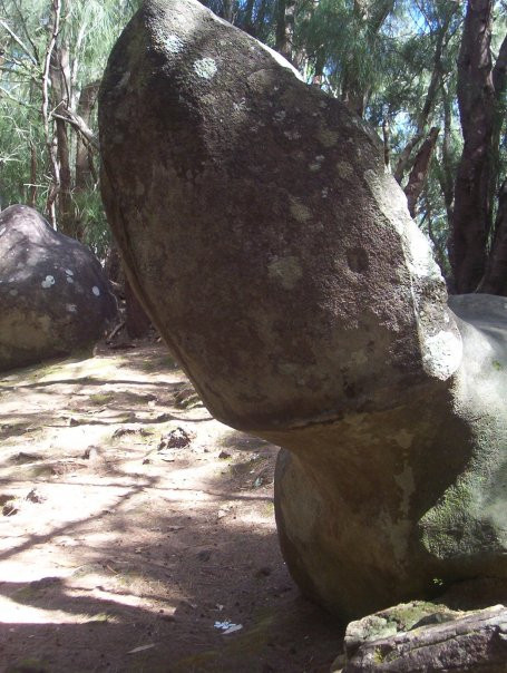 Mauna Loa Museum & Cultural Park-摩洛凯岛必去景点