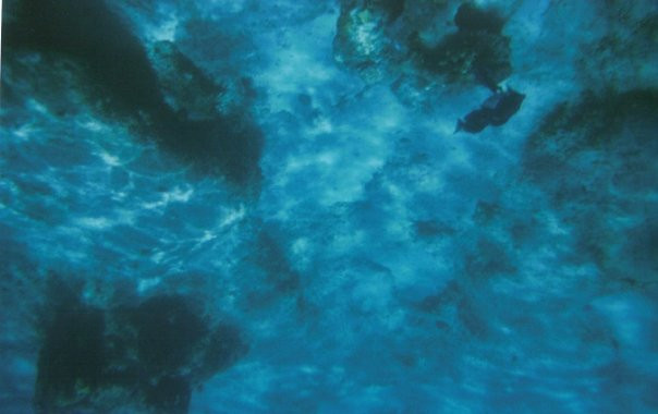 巴斯-维京果岛必去景点