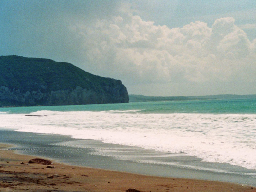 Hotel Lattakia