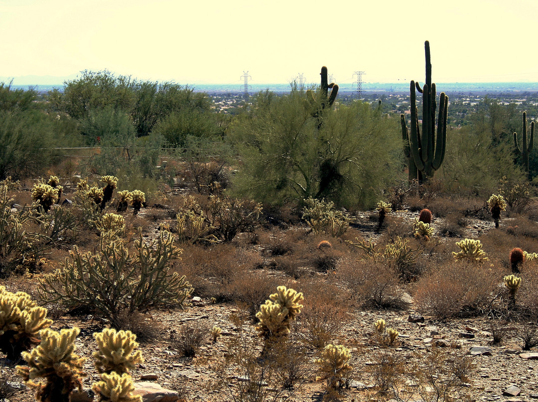Taliesin West-斯科茨代尔必去景点