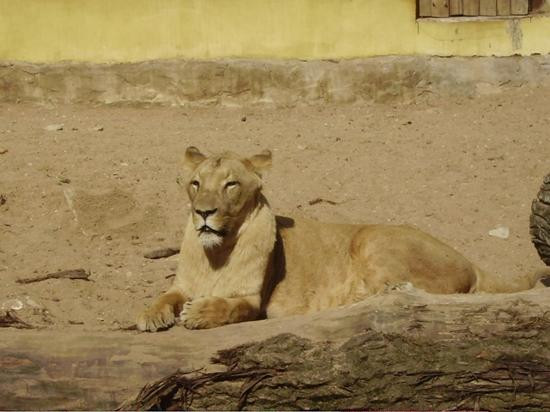 Riga Zoo-里加必去景点