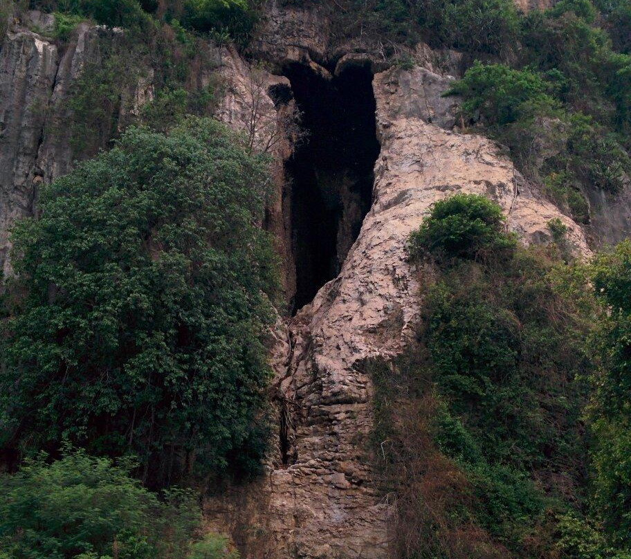 Battambang Bat Caves-马德望必去景点