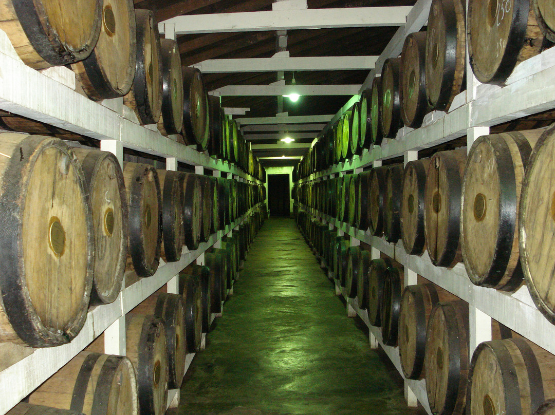 HT Happy Travel-Brumadinho必去景点