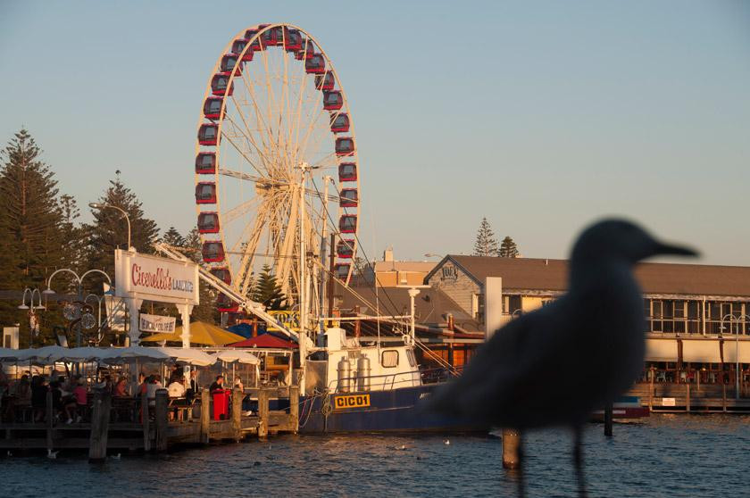 Fremantle Fishing Boat Harbour景点图片