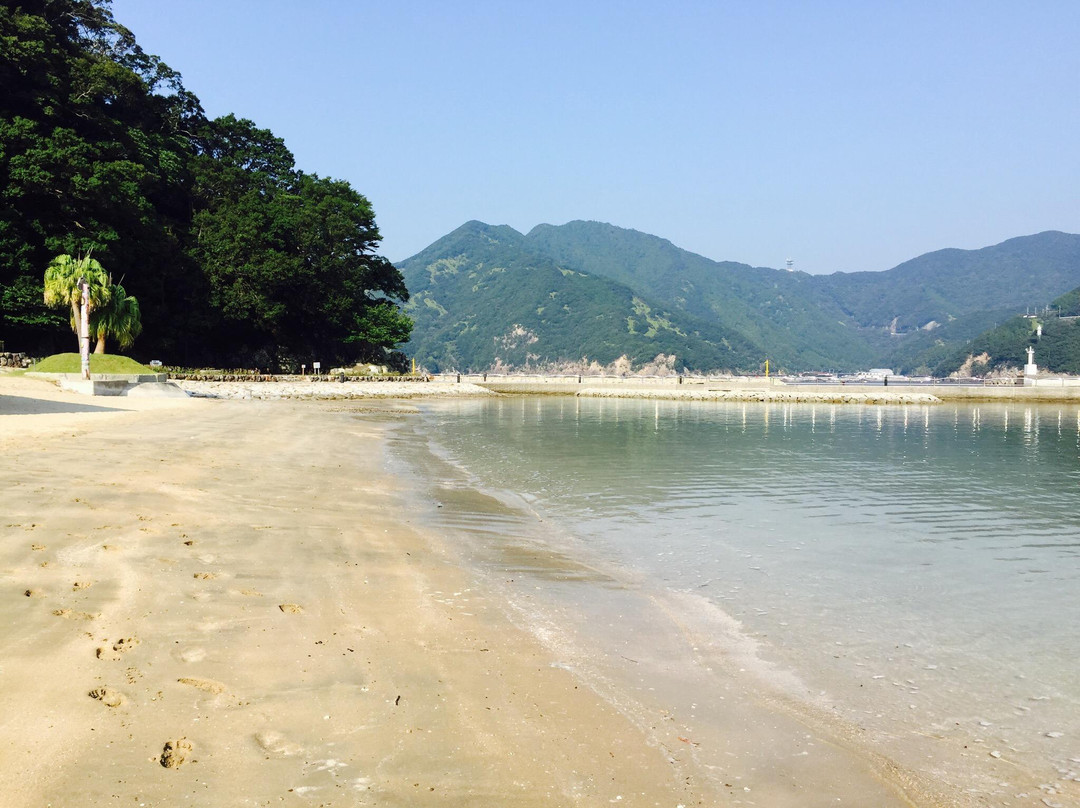 Nishiki Mukaigahama Youpark Tropical Garden景点图片