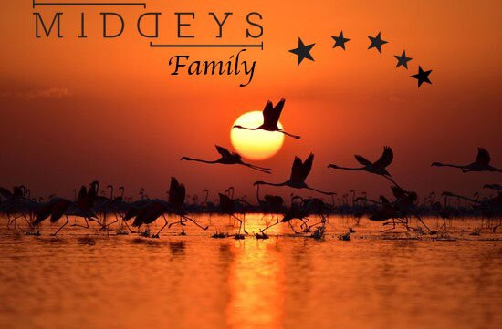 Middeys Brasserie & Lounge Bar