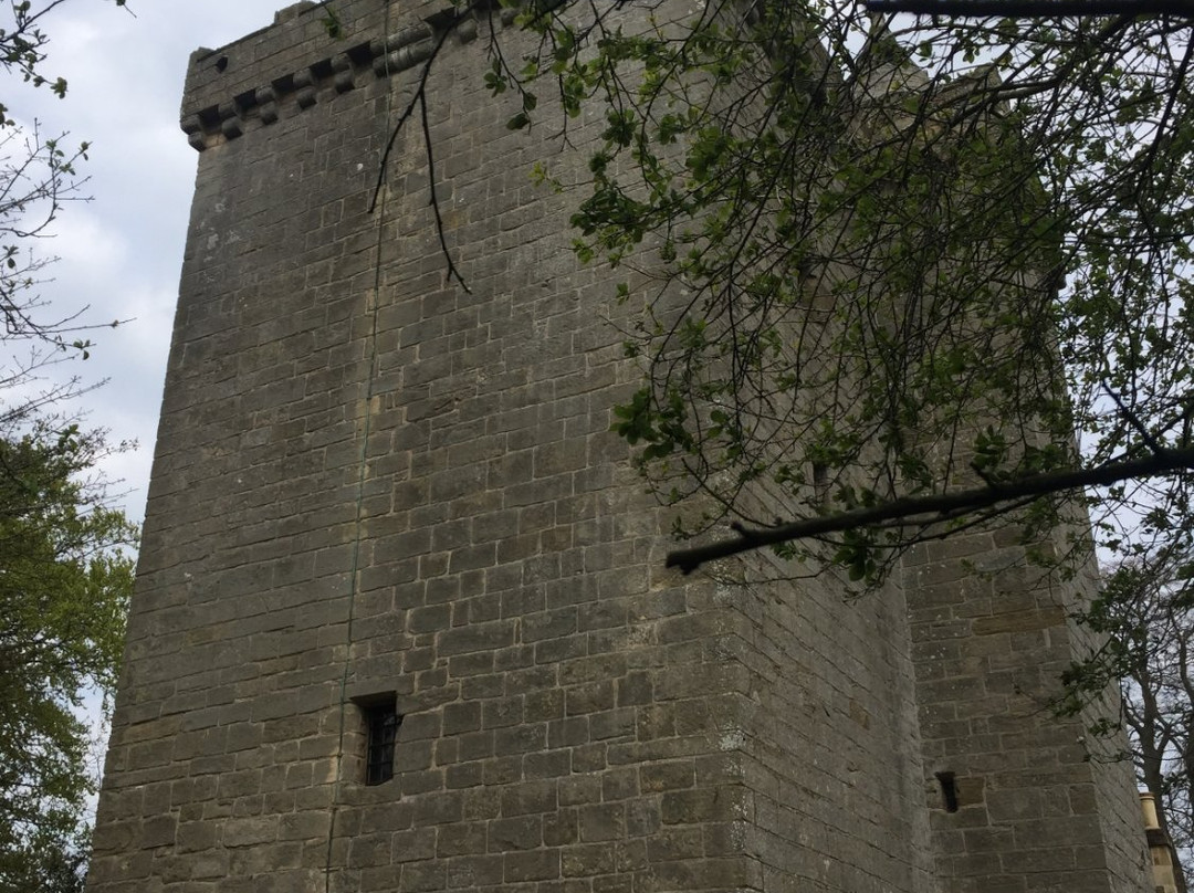 Scotstarvit Tower景点图片