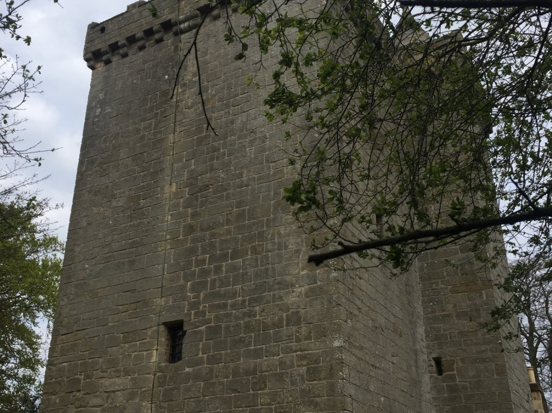 Scotstarvit Tower
