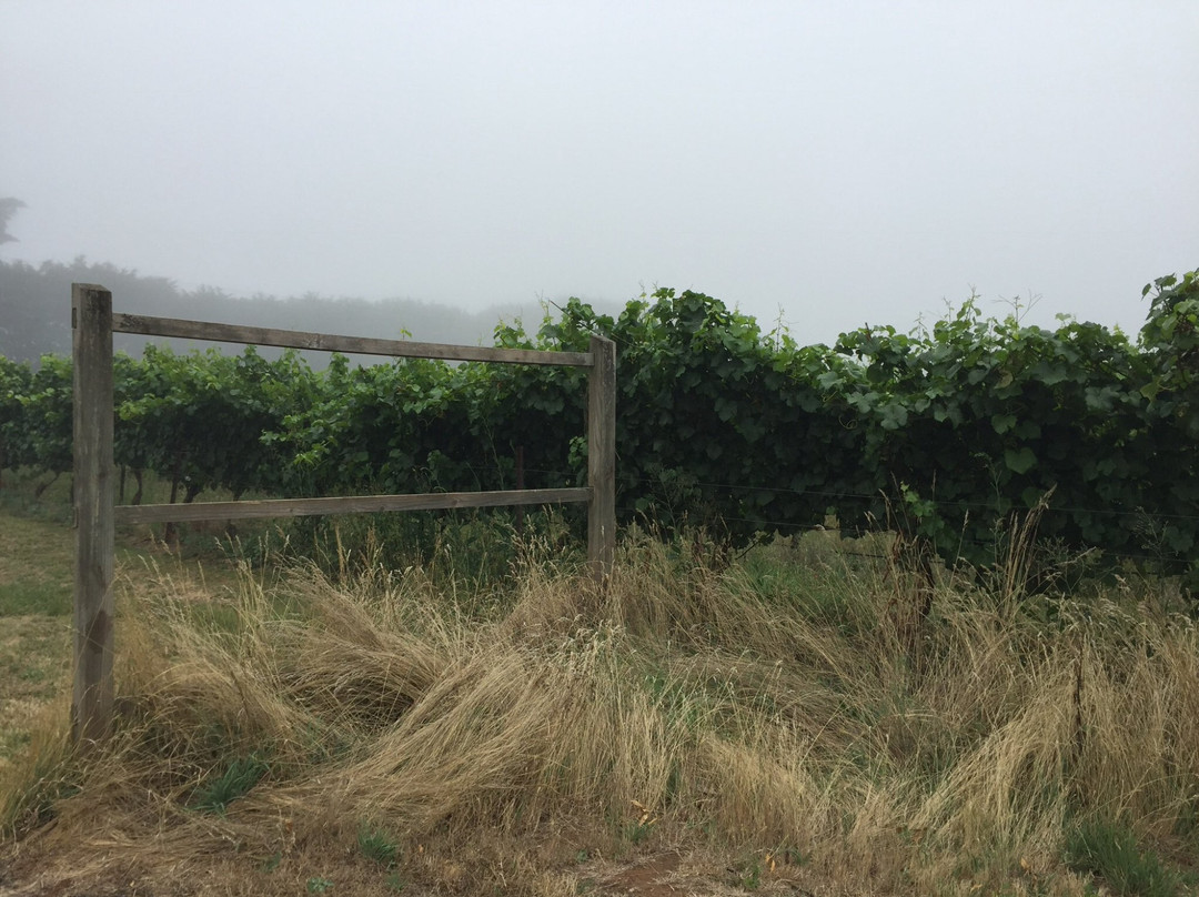 Cope-Williams Winery