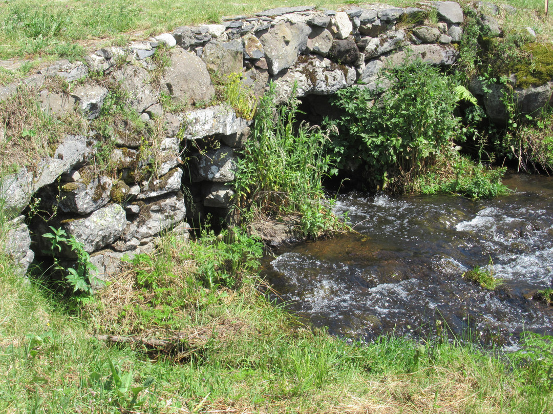 Cascade Du Saillant