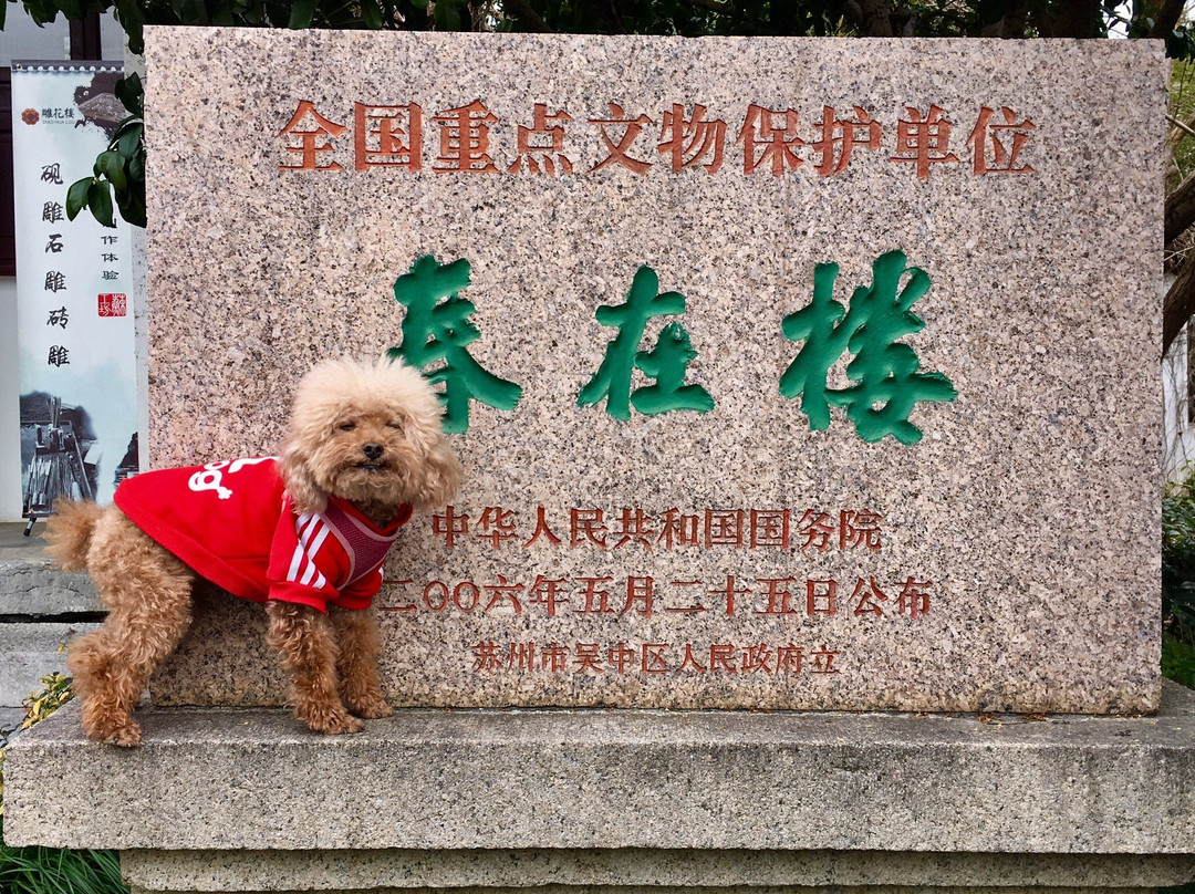 东山雕花楼景点图片