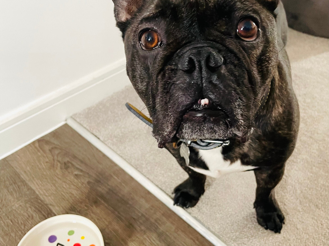 The Pottery Place-威特尼必去景点