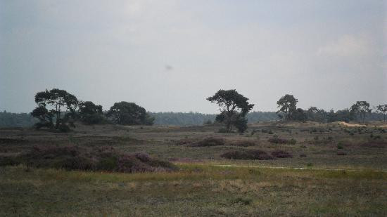 De Hoge Veluwe National Park-Gelderland Province必去景点