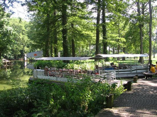 Reelfoot Lake Pontoon Boat Cruise景点图片