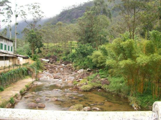 Sri Pada / Adam's Peak-Sabaragamuwa Province必去景点