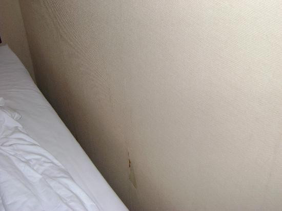 维也纳国际酒店（广州火车站三元里地铁站店）主图