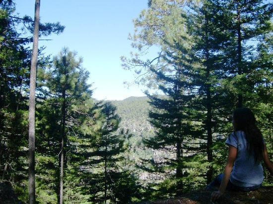 Mexiquillo-Pueblo Nuevo必去景点