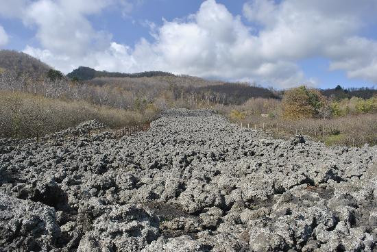 Etna Experience Excursions-卡塔尼亚必去景点