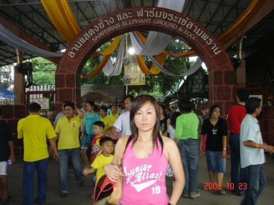 Samphran Elephant Ground & Zoo-佛统必去景点