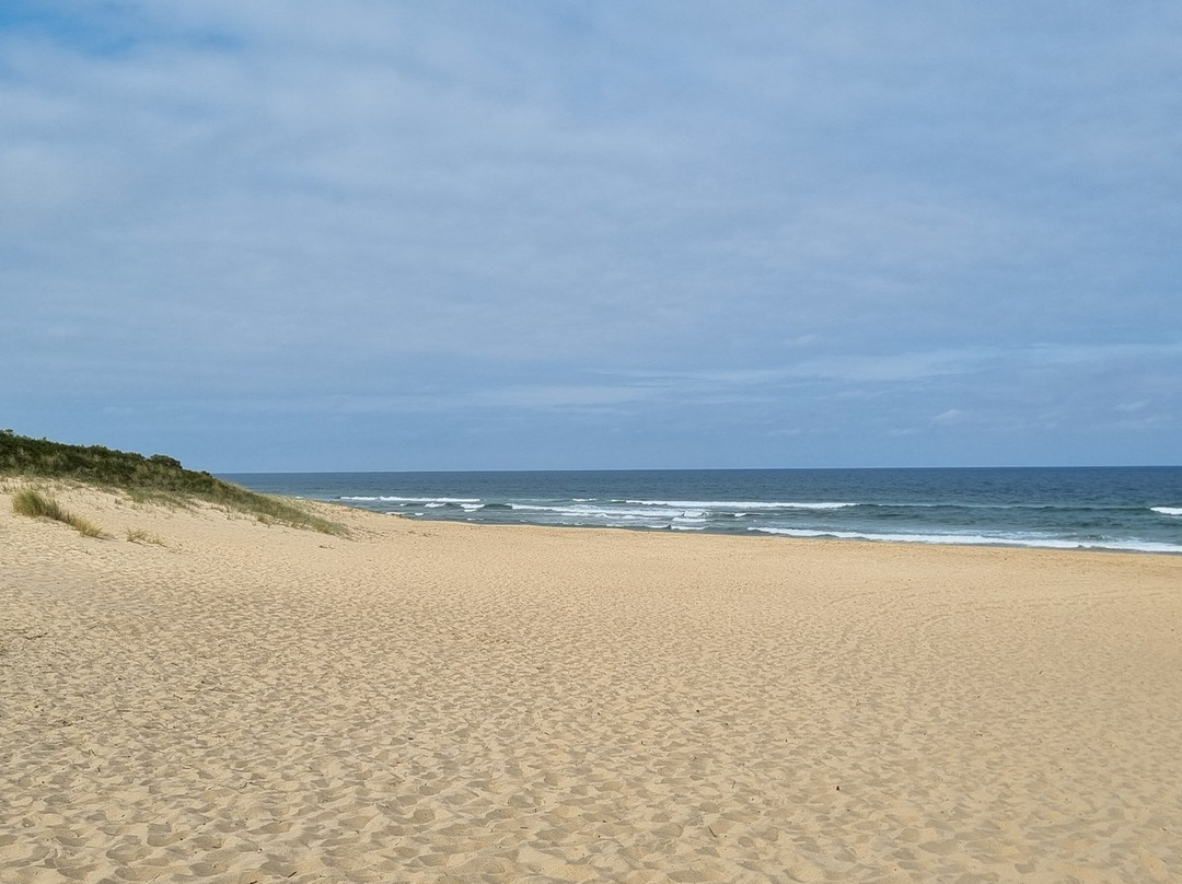 Lakes Entrance Beach景点图片