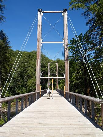 Tillamook Forest Center-蒂拉穆克必去景点