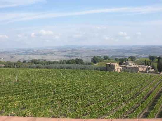 托斯卡纳葡萄酒之旅-锡耶纳必去景点