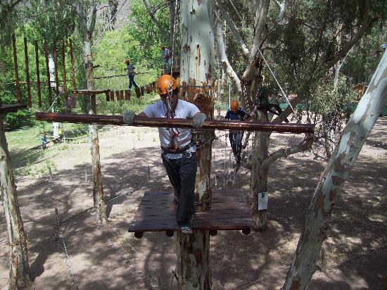 Bosque Aereo Euca-圣拉斐尔必去景点