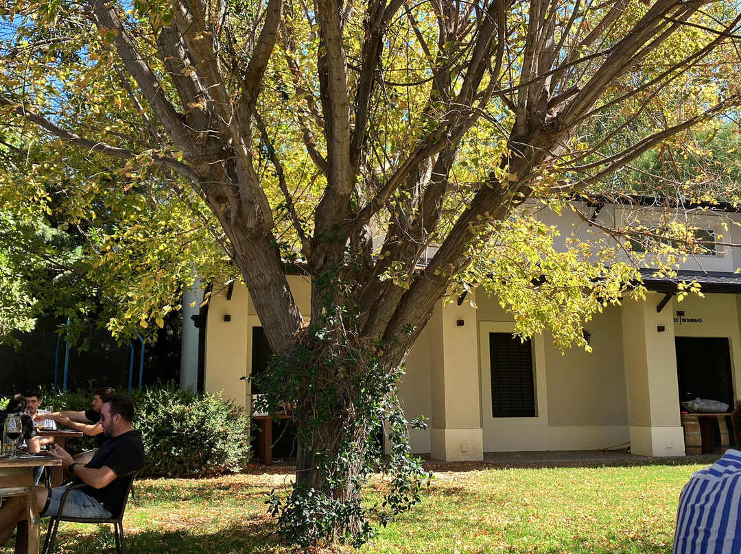 Bodega Chayee Bourras-圣拉斐尔必去景点