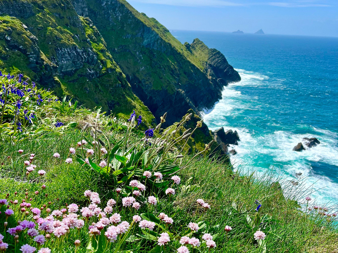 Walk With Me-基拉尼必去景点