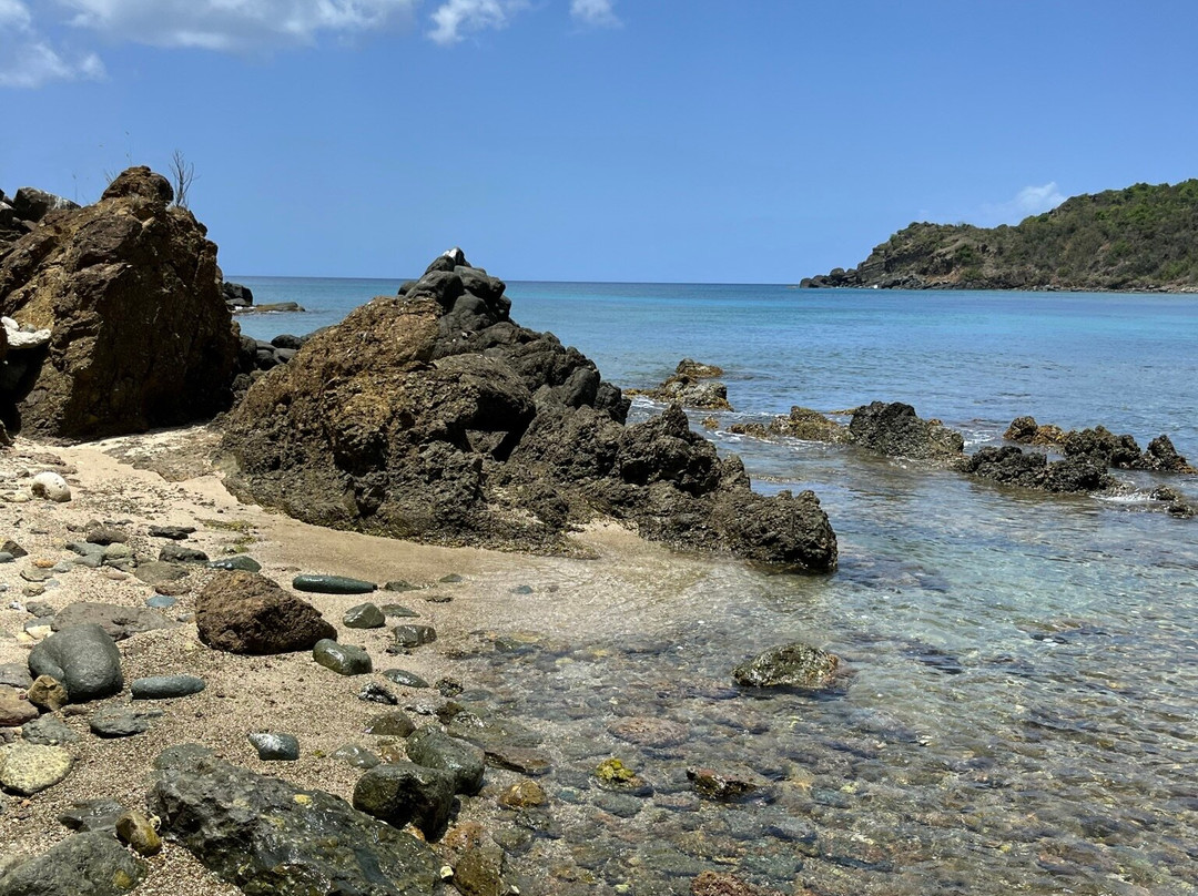 Full & Half day tours with Jeep Surfari-圣 托马斯必去景点