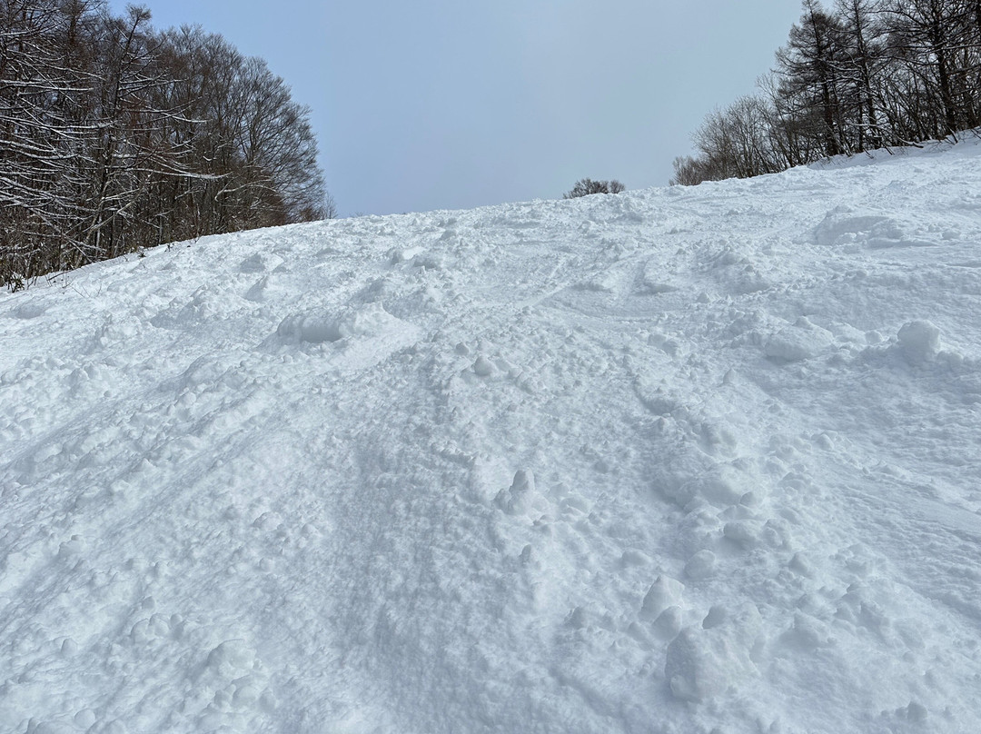 Togakushi Ski Area景点图片