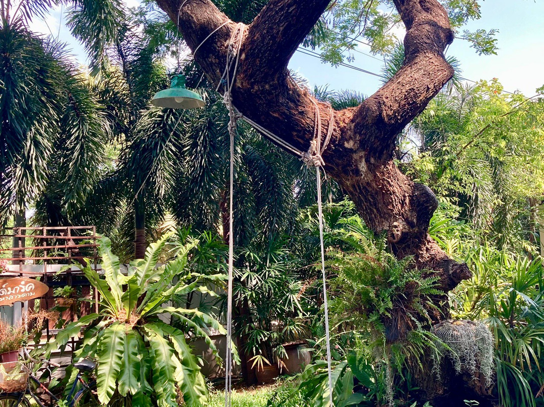 Landmark Maha Sarakham