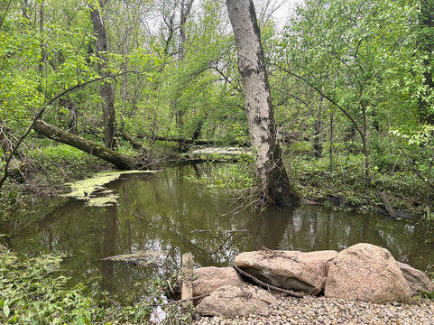 Izaak Walton Wetlands-罗切斯特必去景点